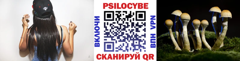 Псилоцибиновые грибы MAGIC MUSHROOMS Шали